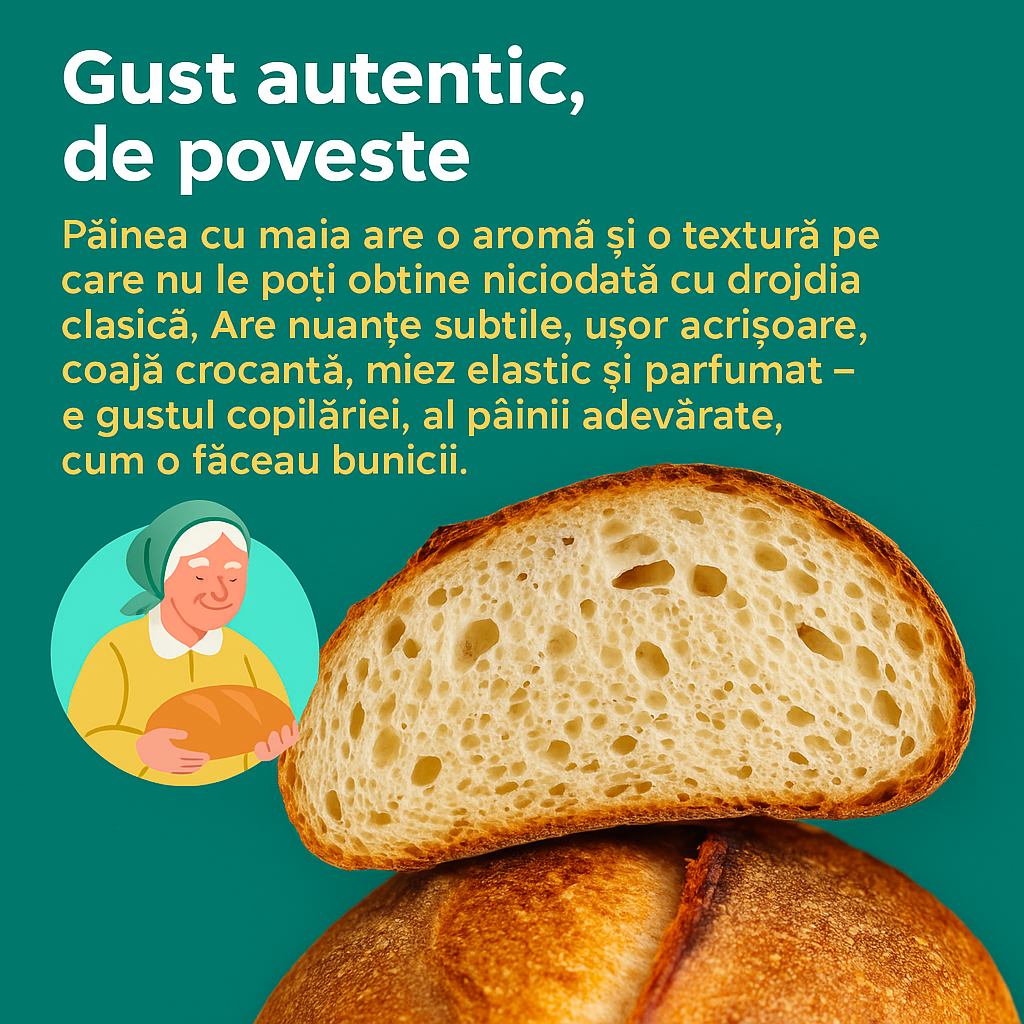 Maia Super Activă din 1916 Starter Kit Maia Uscată la Temperatură Joasă 36 ore