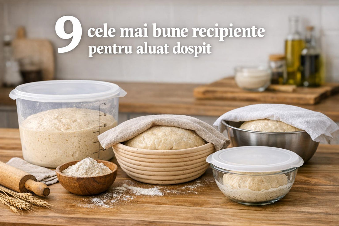 9 cele mai bune recipiente pentru aluat dospit