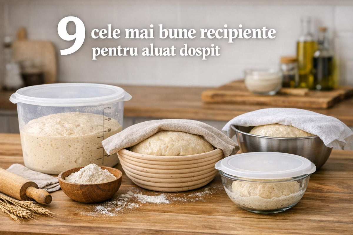 9 cele mai bune recipiente pentru aluat dospit