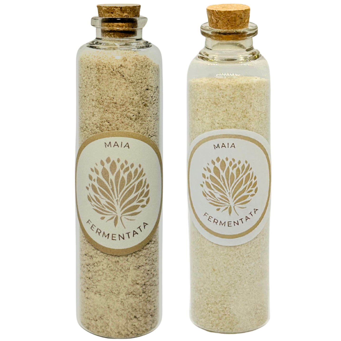 Maia Fermentata