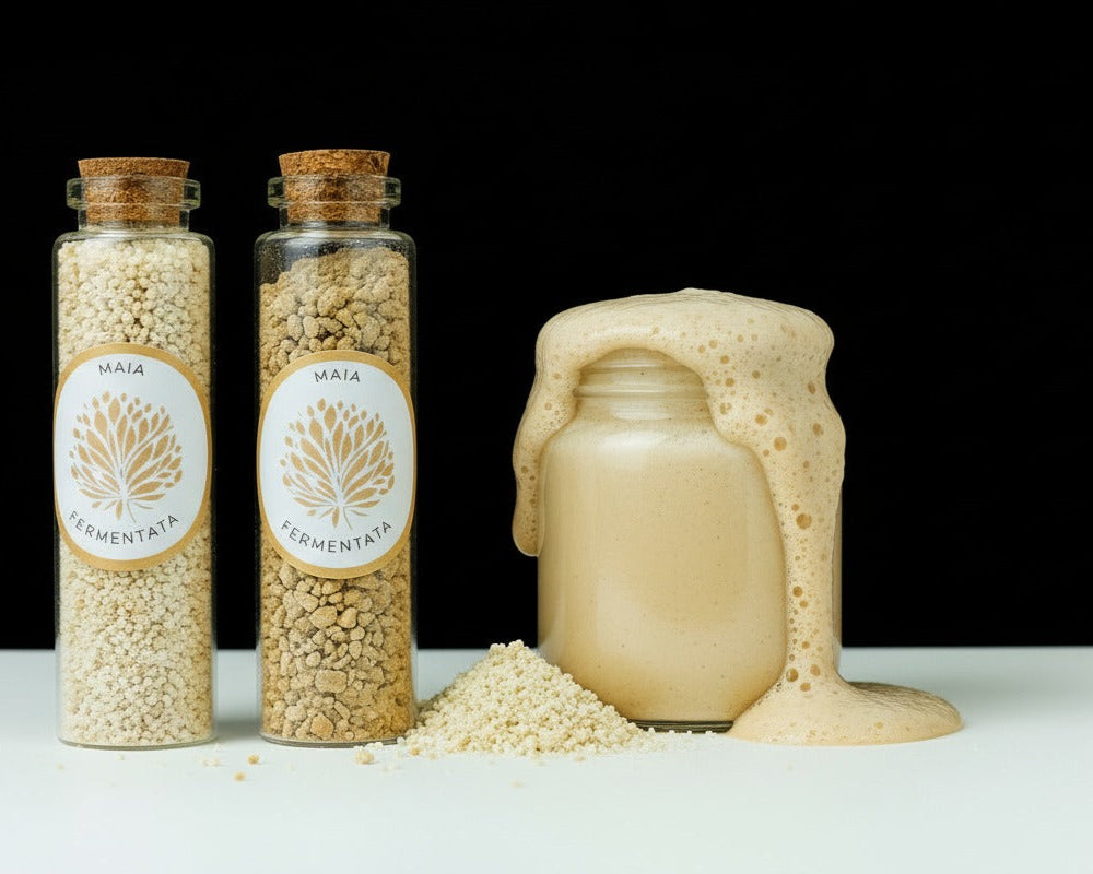 Maia Fermentata