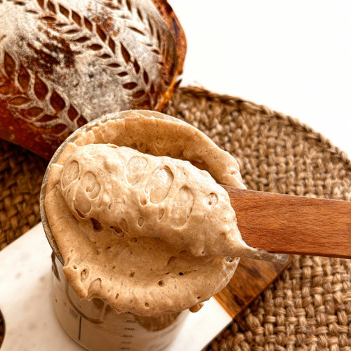 Pâine ca la Bunica - Maia Uscată Naturală Moștenită din 1916