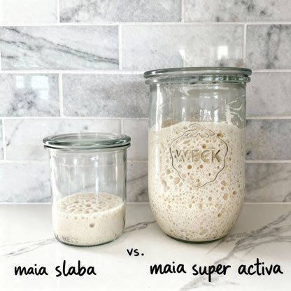 Pâine ca la Bunica - Maia Uscată Naturală Moștenită din 1916